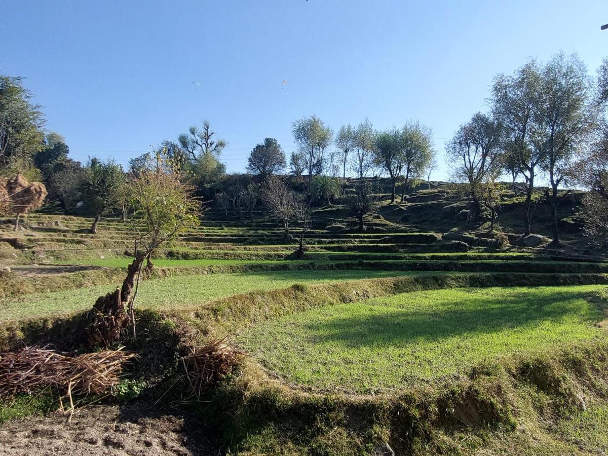 The Hostel Stories, Bir - Landing Site Pokoj fotografie